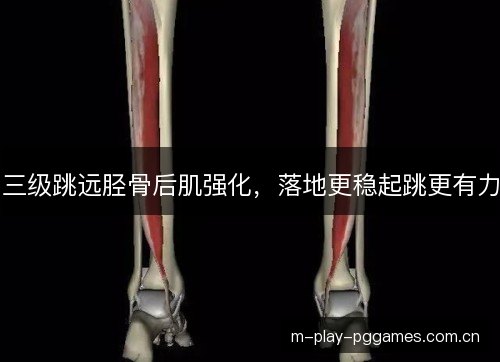 三级跳远胫骨后肌强化，落地更稳起跳更有力
